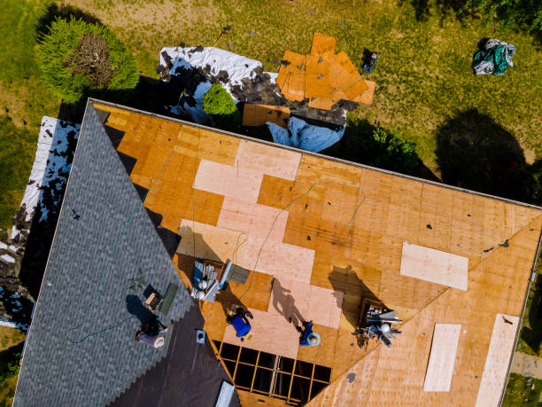 Roof Gutter Cleaning in Feather Sound, FL