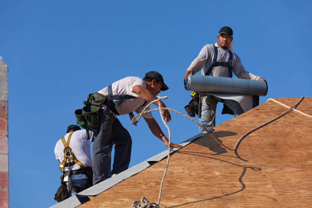 Professional Roofing Contractor in Feather Sound, FL