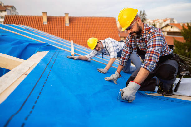Best Roof Gutter Cleaning  in Feather Sound, FL