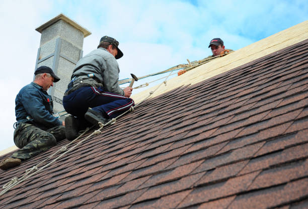 Best Gutter Installation and Roofing  in Feather Sound, FL